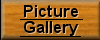 Picture Gallery Button
